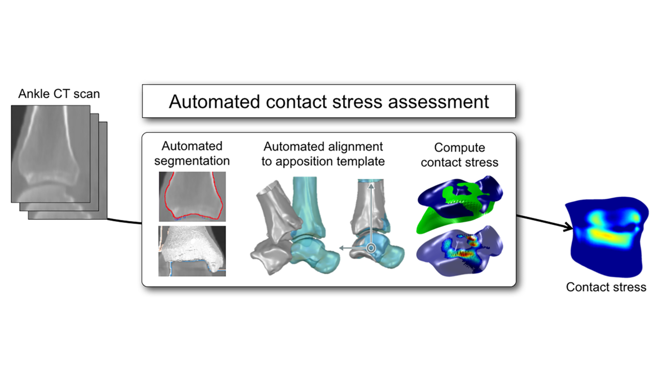 Automated Methods for Assessing Contact Stress Exposure